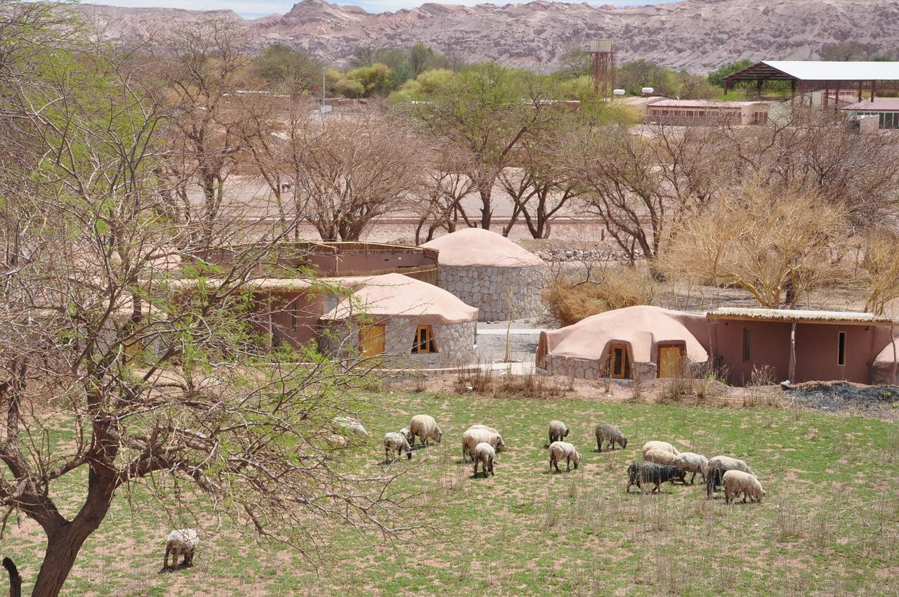 Ckamur Atacama Ethno Lodge & Spa San Pedro de Atacama Buitenkant foto
